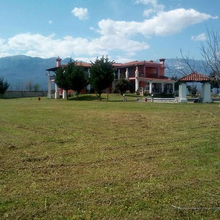 Ligaria Αρχοντικό Παπανικολάου别墅 外观 照片