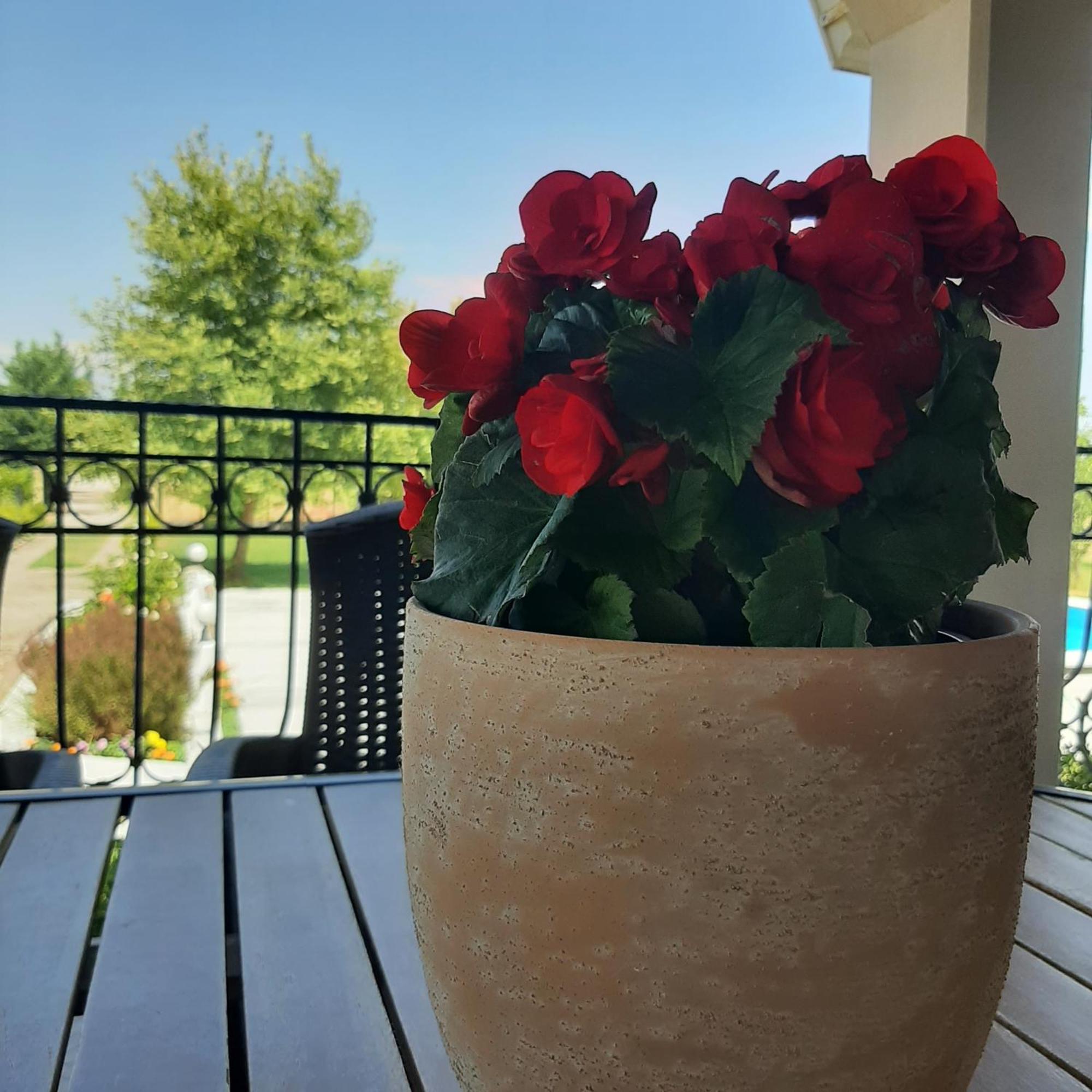 Ligaria Αρχοντικό Παπανικολάου别墅 外观 照片
