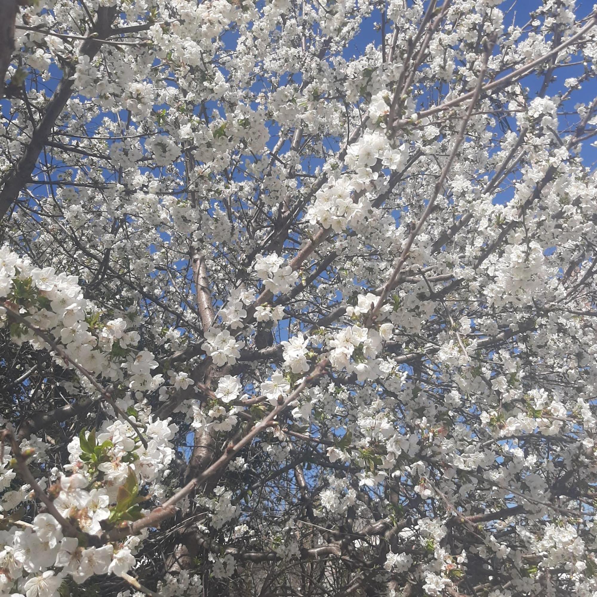 Ligaria Αρχοντικό Παπανικολάου别墅 外观 照片
